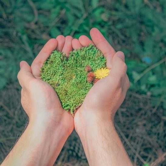 environmentally sustainable