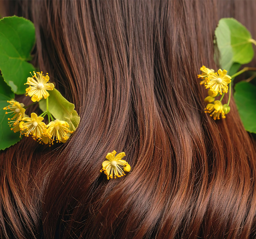 découvrir now shampoings et revitalisants barres